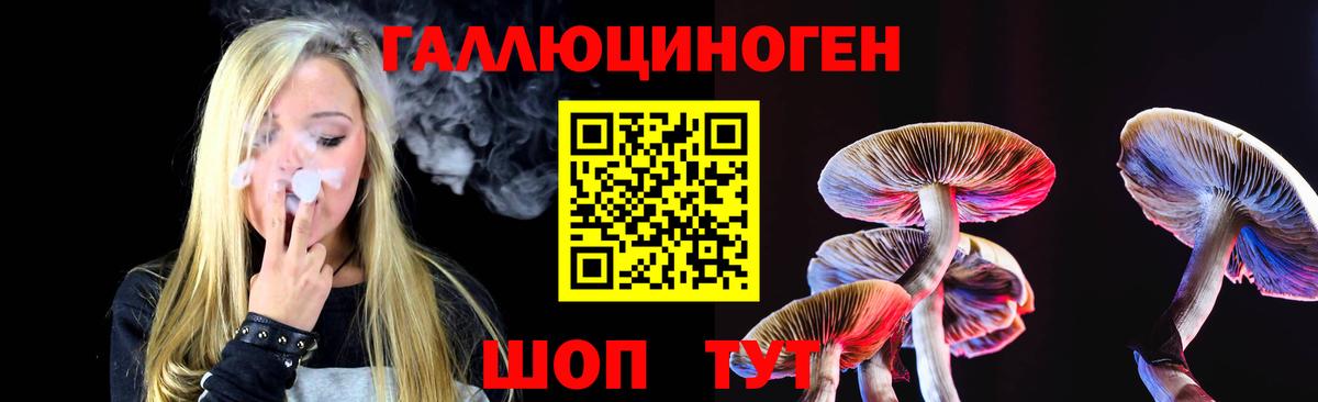 Псилоцибиновые грибы прущие грибы Севастополь
